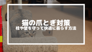 猫の爪とぎ対策｜柱や壁を守って快適に暮らす方法