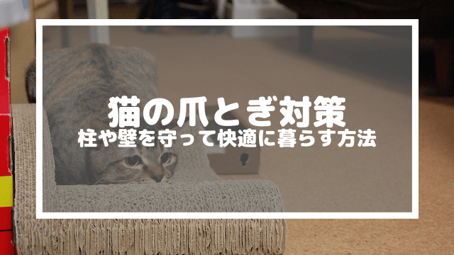 猫の爪とぎ対策 柱や壁を守って快適に暮らす方法 ネコヤマニア