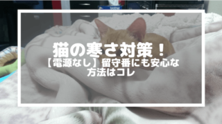 猫の寒さ対策